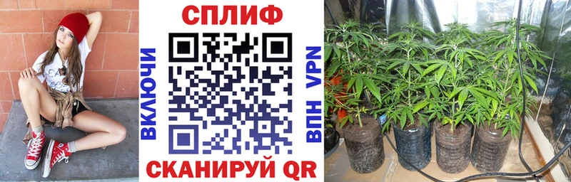 Купить закладку КОКАИН  МЕФ  ГАШ  АМФЕТАМИН  Марихуана  A-PVP  Черняховск