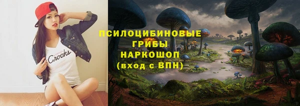 a pvp Ельня