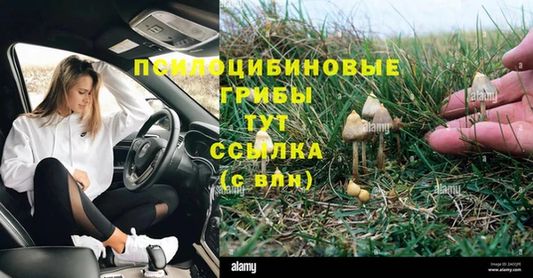 первитин Дмитриев