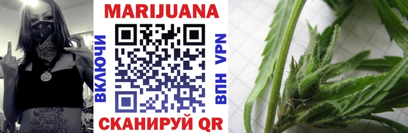 Каннабис конопля Черняховск